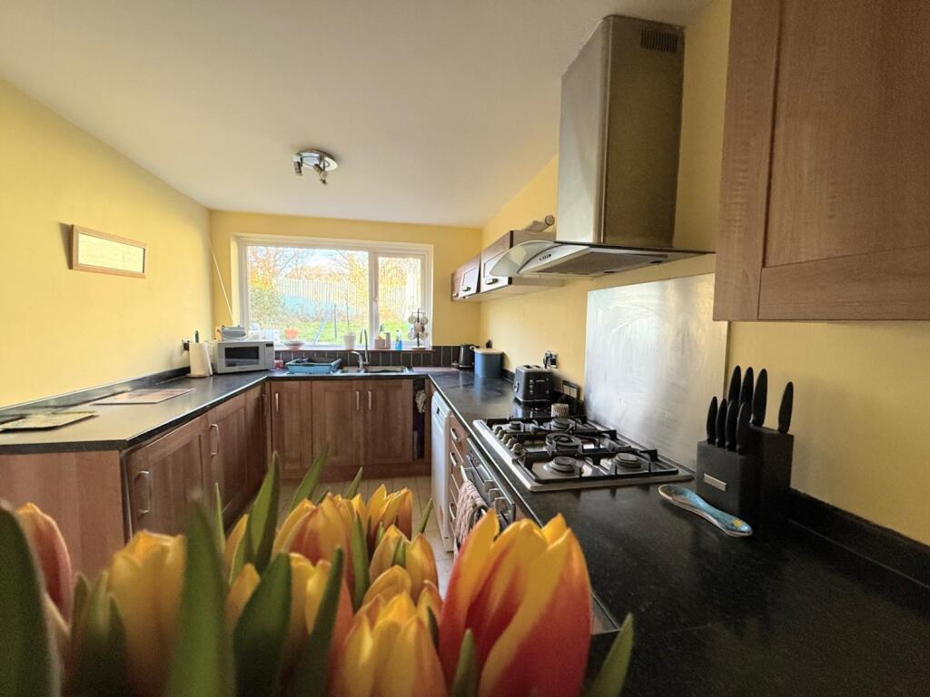 PHOTO-2025-03-01-10-45-15 2