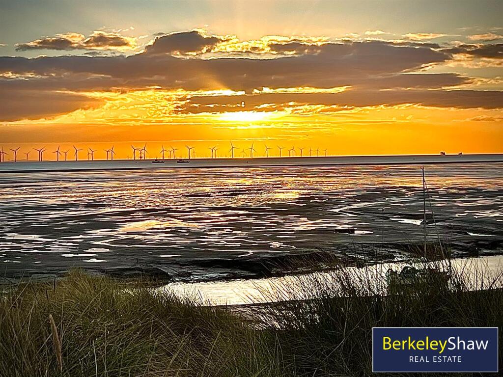 tlc_34ef1235-66f2-4476-95bd-17e696032532_19989e4.j