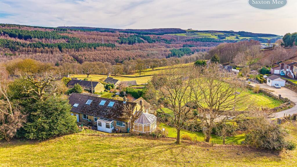 DJI_20250305102113_0562_D copy.jpg