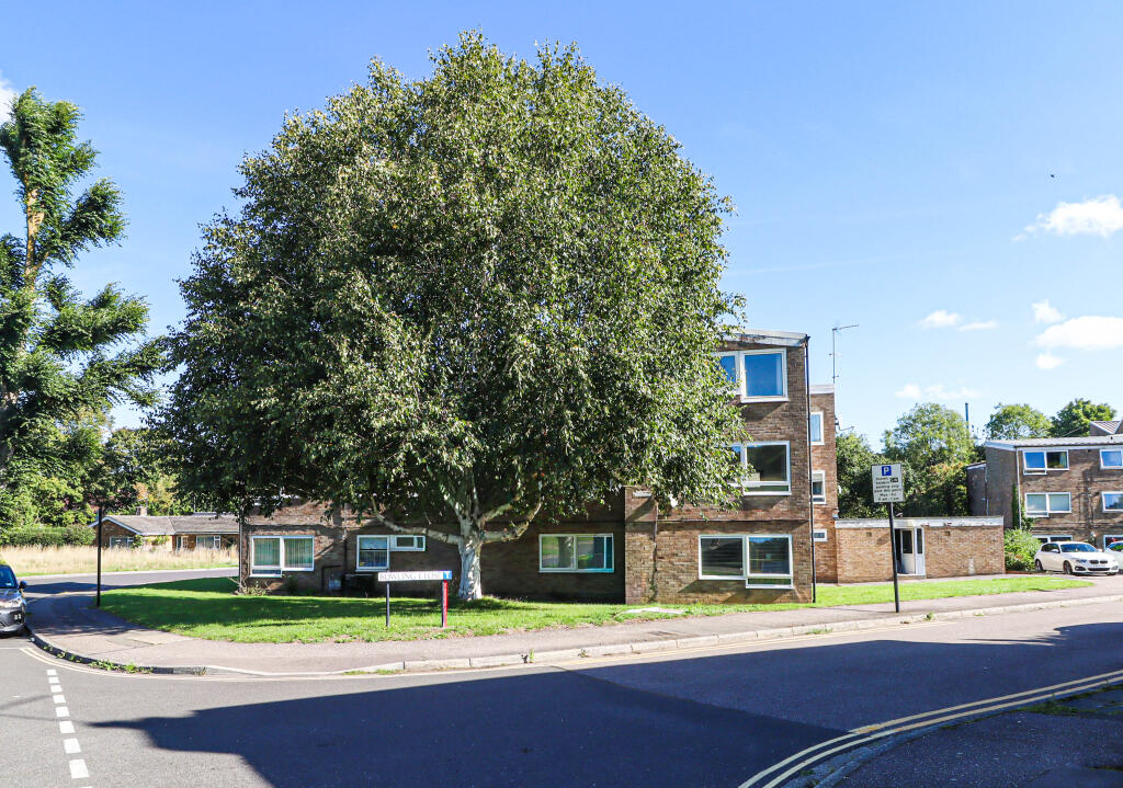 External