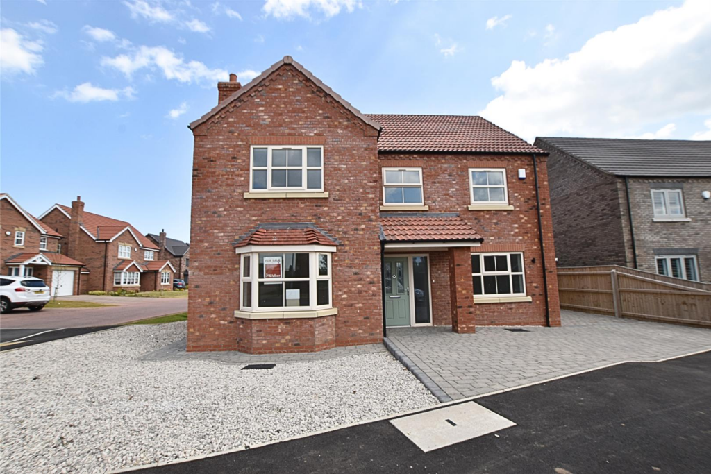 Untitled design - 2025-05-23T155041.395.png