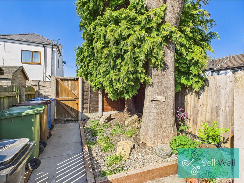 Back Garden