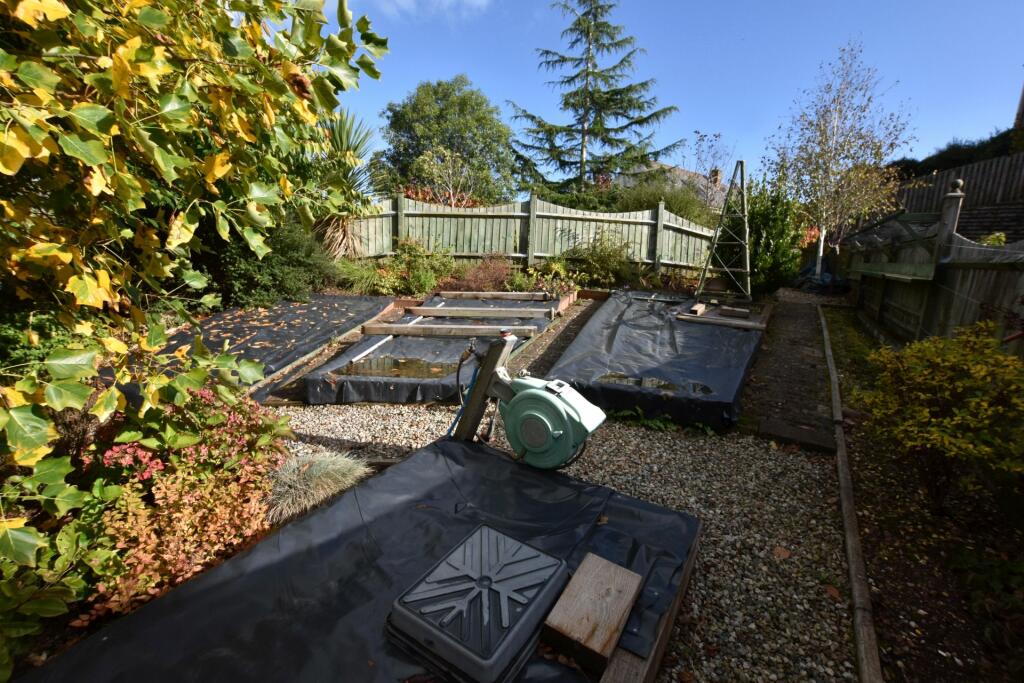Veg Patch