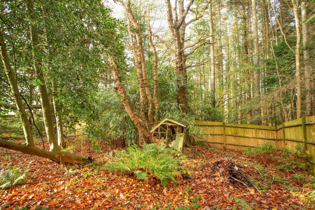 Darwell Hill, Netherfield, East Sussex, TN33 9QL