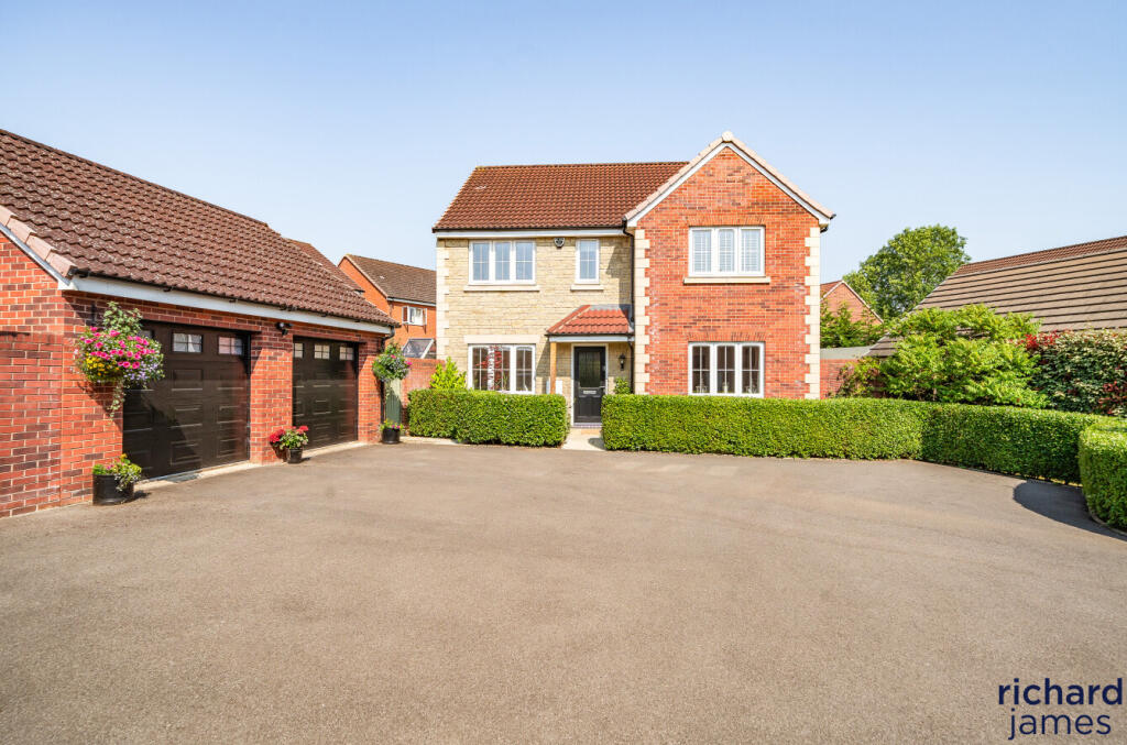 13299b81-3db2-42c...