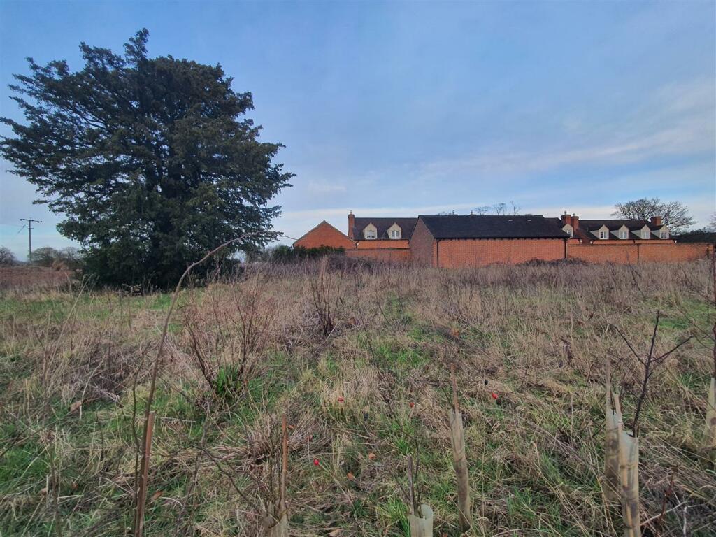 View from road
