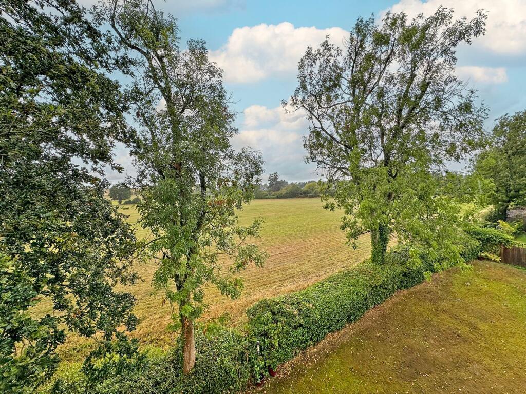 Kitchen View
