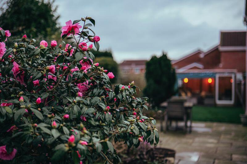Garden Lifestyle
