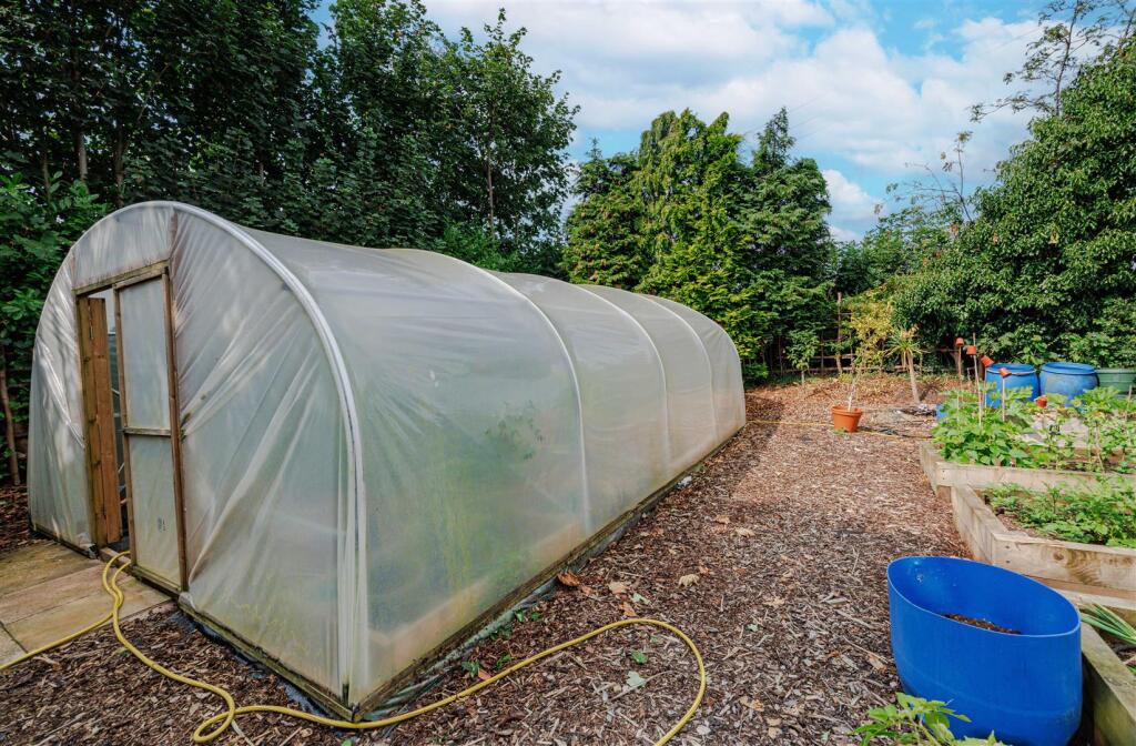 Polytunnel allotment area 1 1N9A7318.jpg