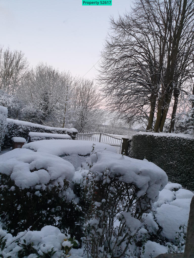 Winter View from Lounge