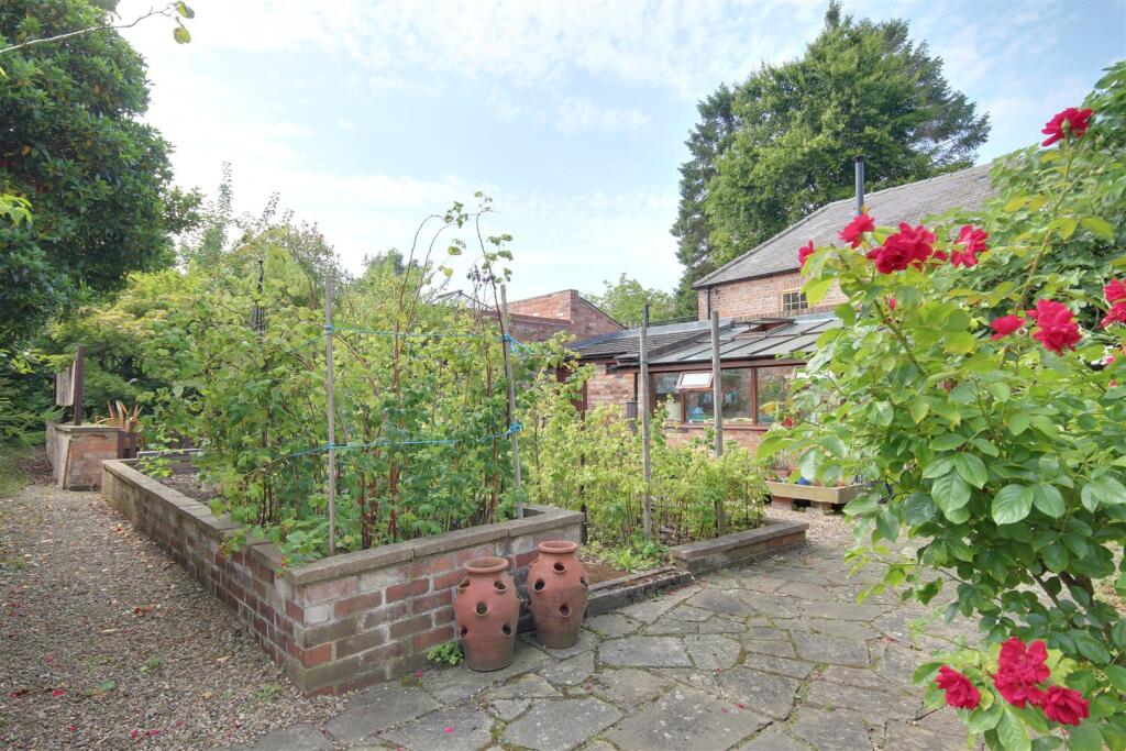 Vegetable Garden