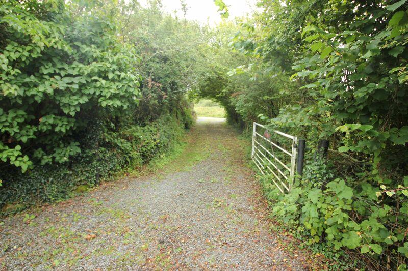 entrance drive