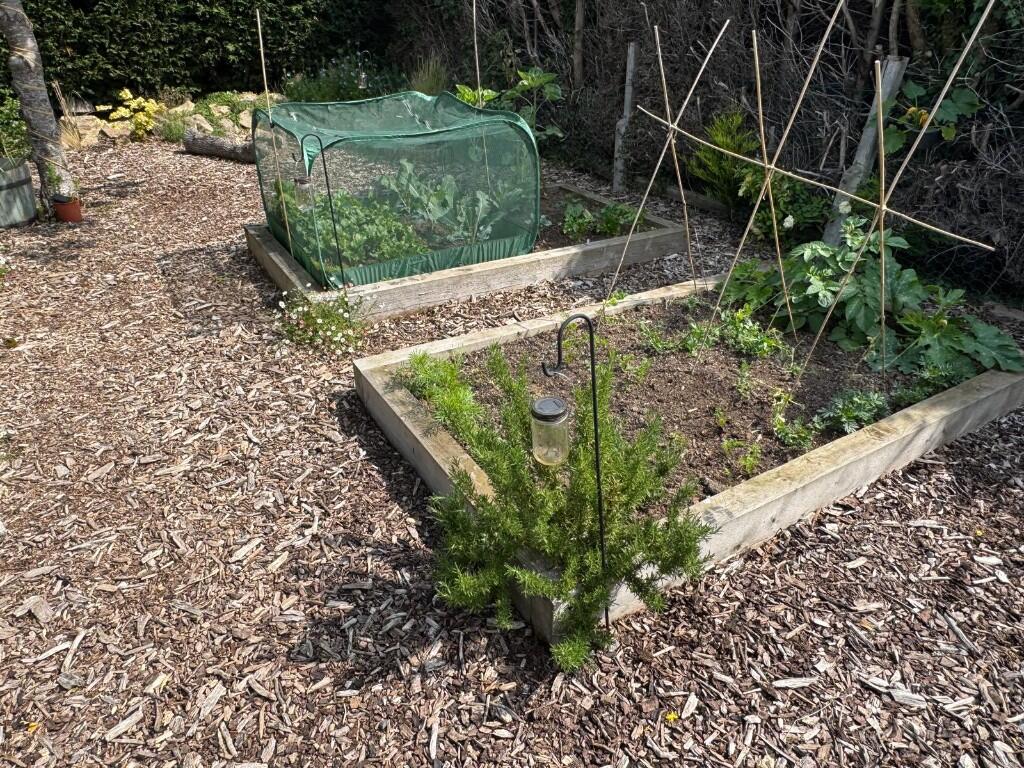 Vegetable garden