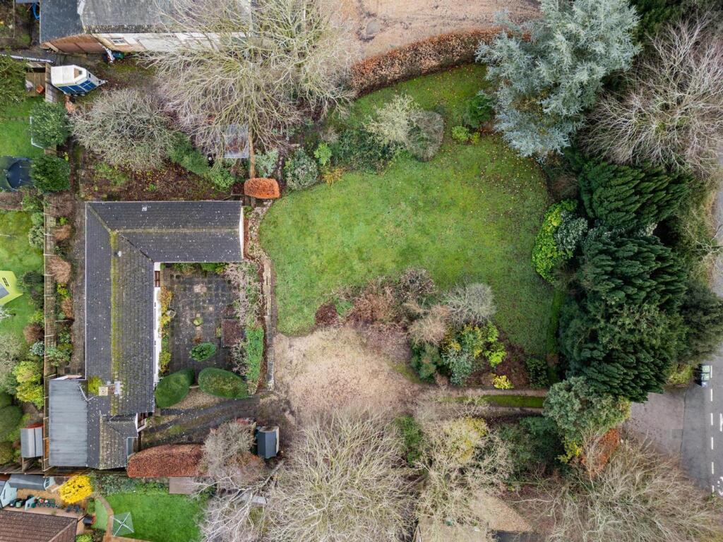 DJI_0196.jpg