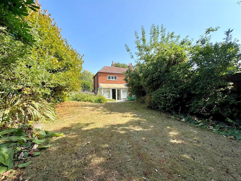 garden 2.jpg