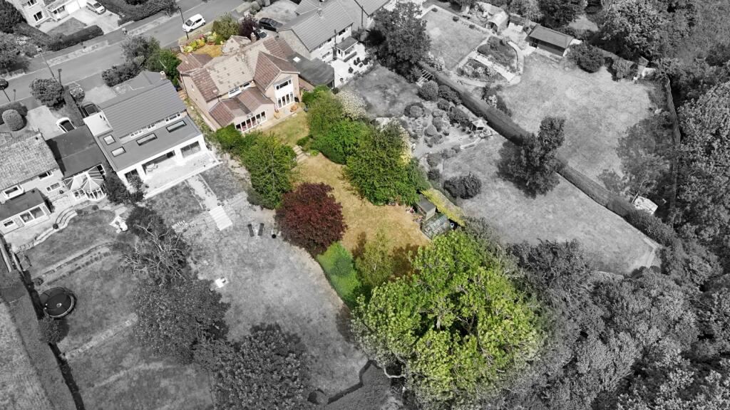 Drone Shot