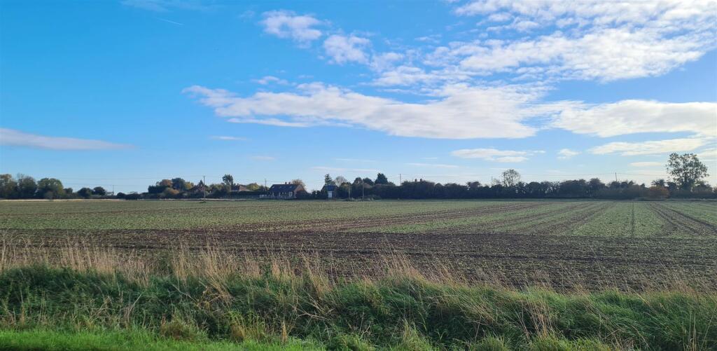 Field Views