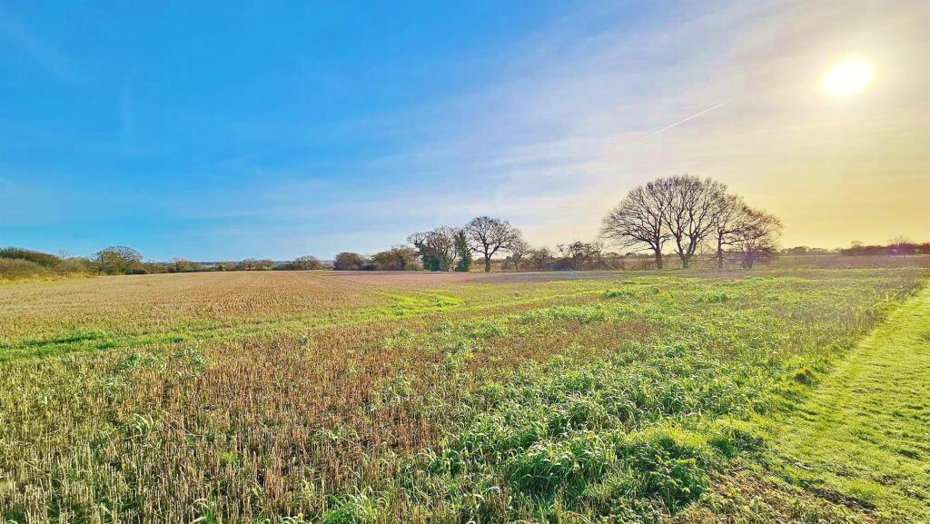 Farmland Views