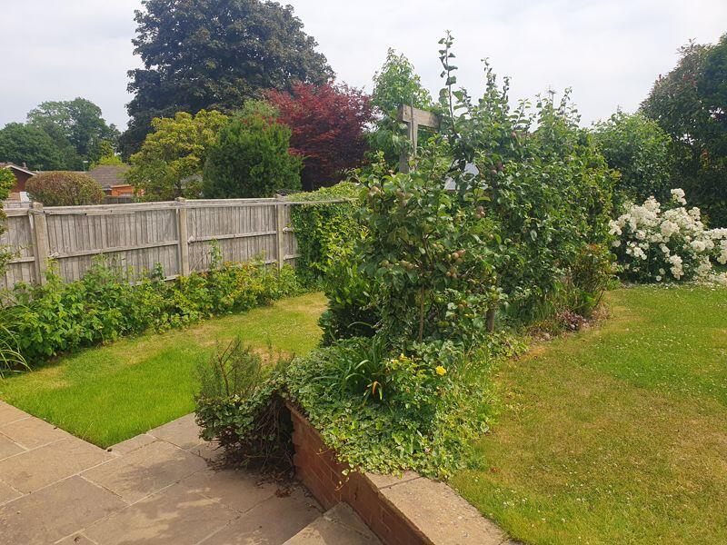 Photo 25