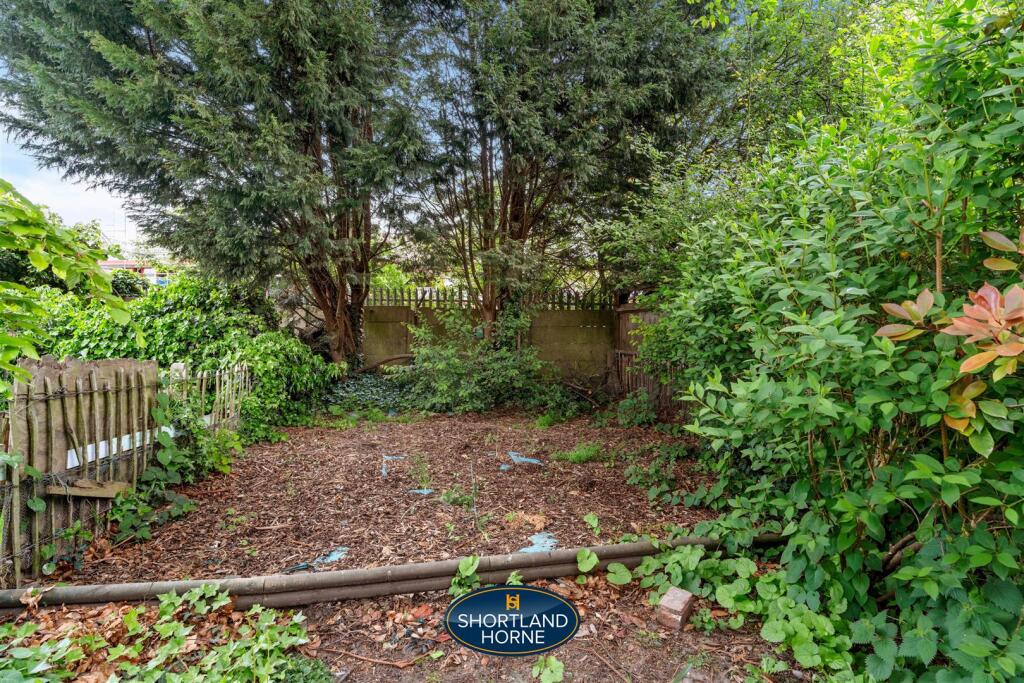 Back Garden