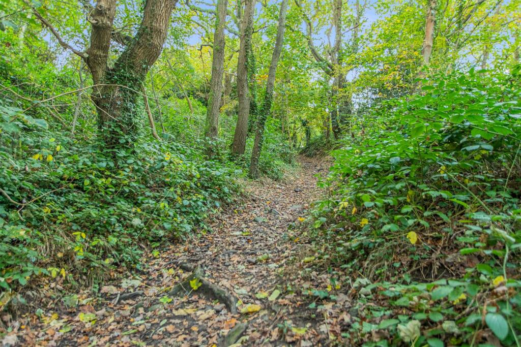 Avon Valley Walks