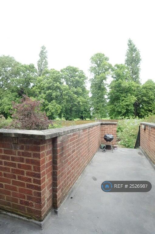 Rear Patio