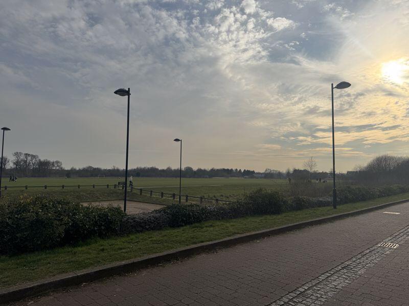 Parkland to the front
