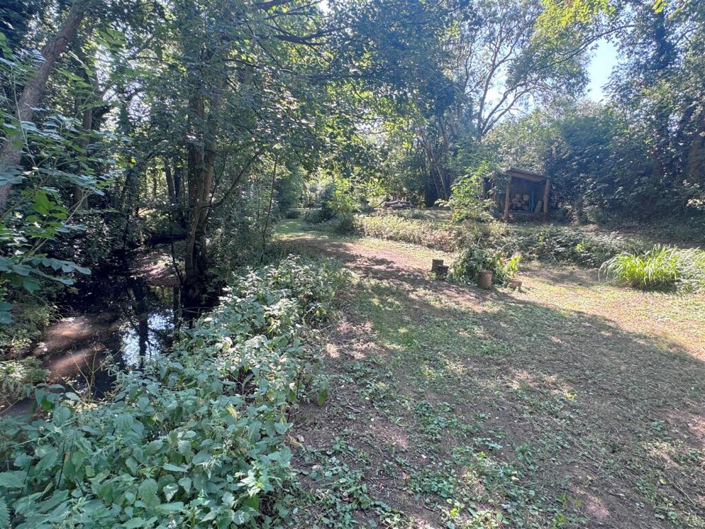 Woodland 4.JPG