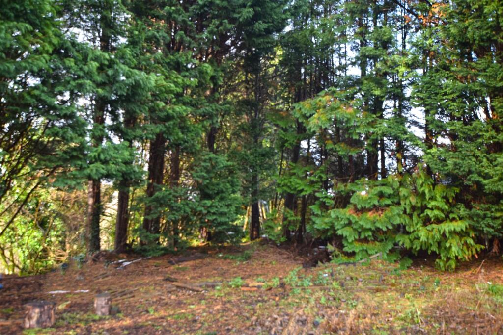 DSC_2864a.jpg