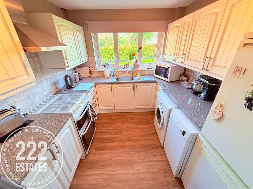 PHOTO-2025-03-10-11-31-13 (11).jpg