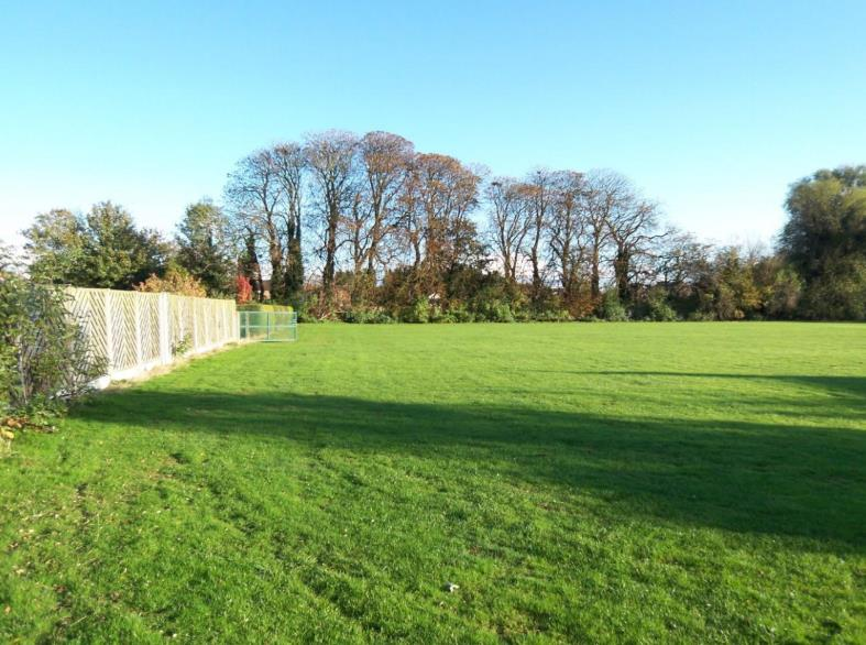 Ramby's Site Pic.png