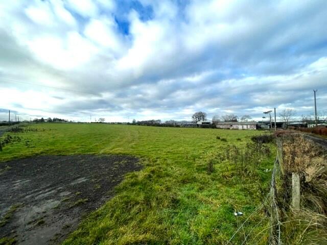 Field
