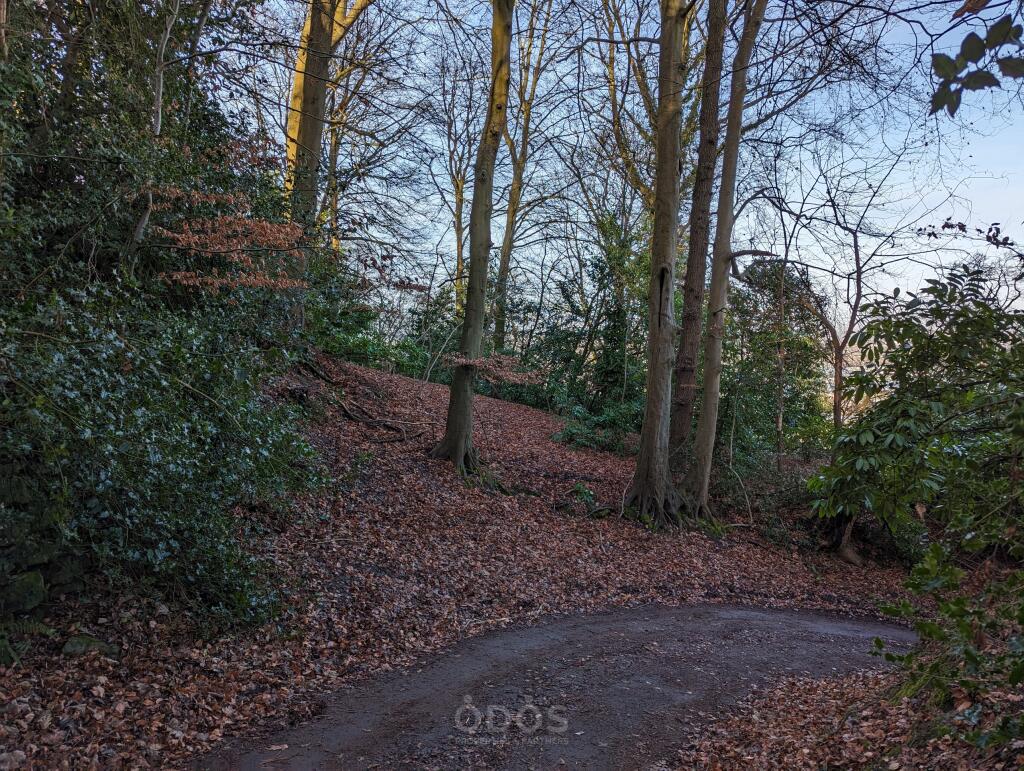 Grove Wood Painswick Road Brockworth GL3 4RU NB 19