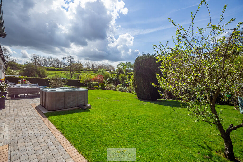 Back garden 1.8
