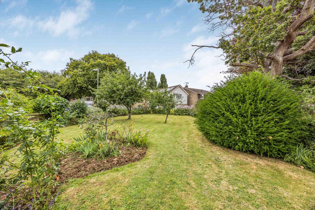 20240911152713447_original [914395554].jpg