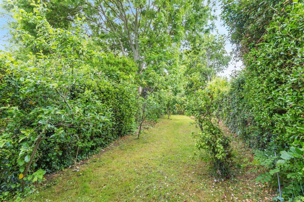 Garden (2).jpg