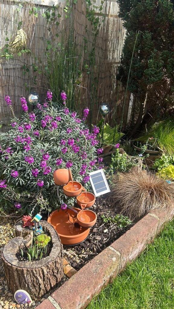 Martin Flower bed.jpg