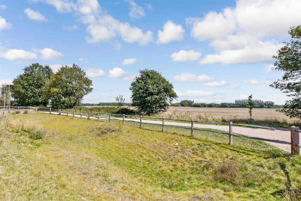Surrounding Area
