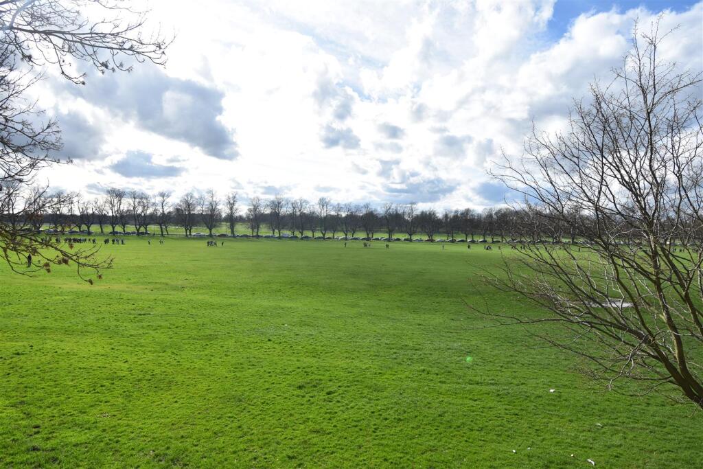 VIEWS OVER THE KNAVESMIRE