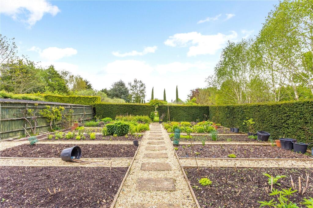 Vegetable Patch