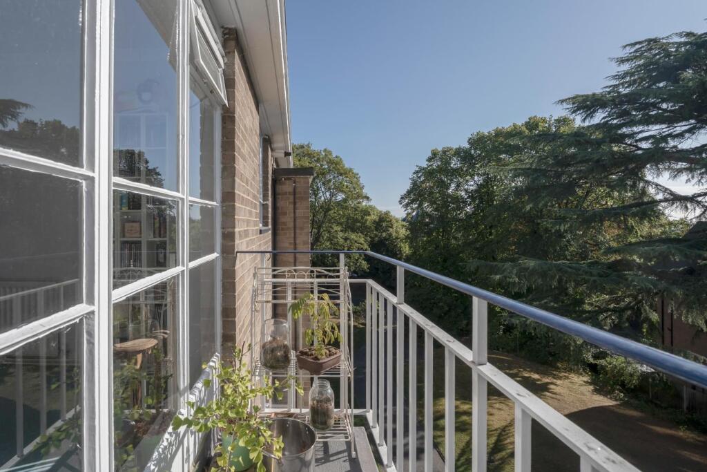 DSC02631-Edit copy.jpg