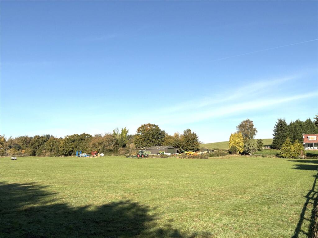 Pasture