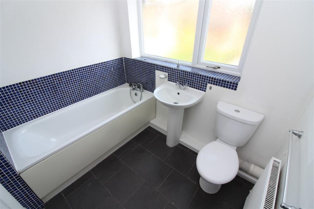 IMG 4775  Medium  T202503141450.jpg