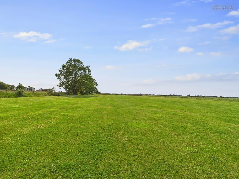 Field Views