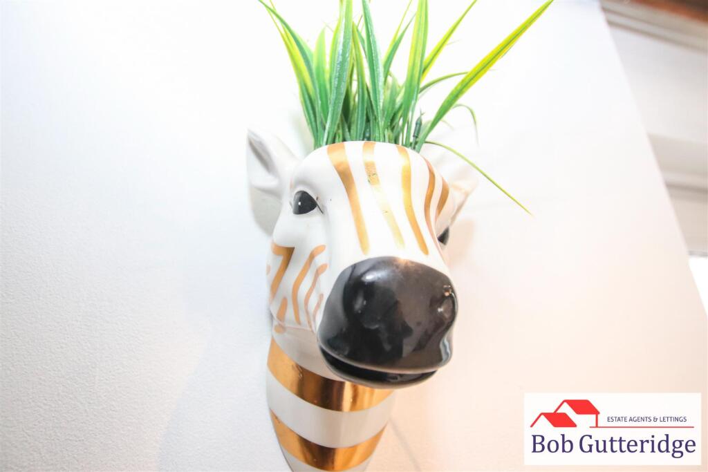 tlc_a1b05cbb-5d40-4774-87d4-6ee2822b3f56_f2fa02c.j