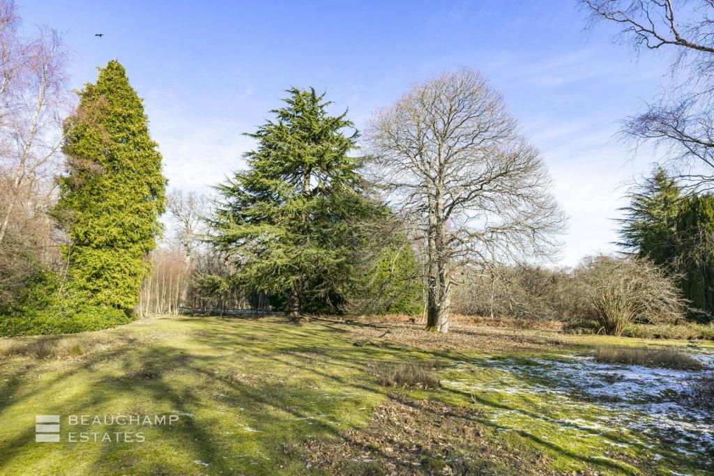 Skyshot Global Ltd