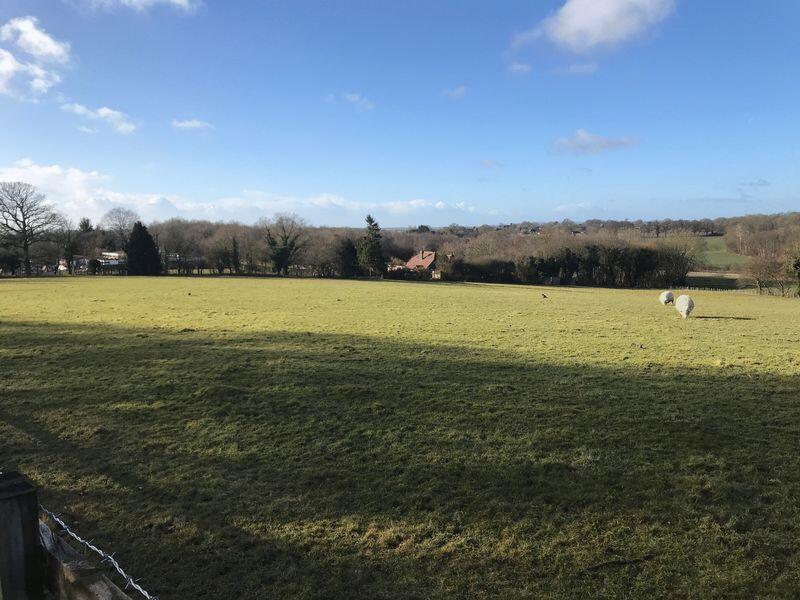 Land to let - Hamstreet