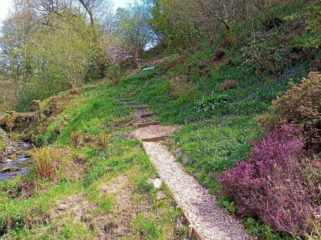 Walkways Through Woodland