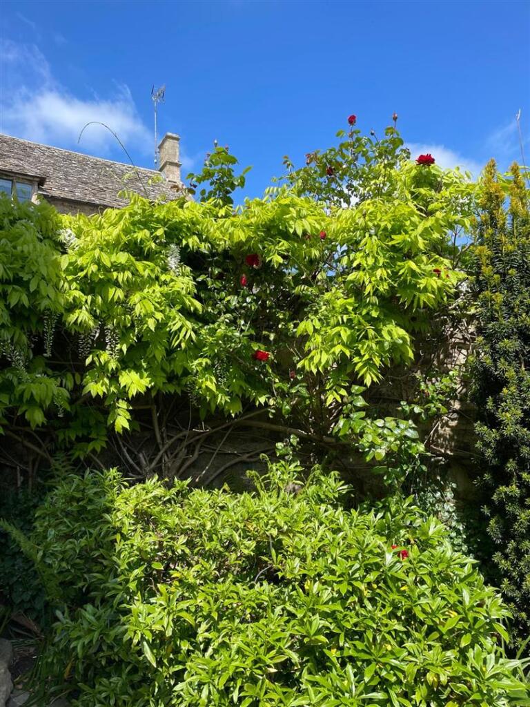 WhatsApp Image 2025-05-21 at 08.55.44.jpeg