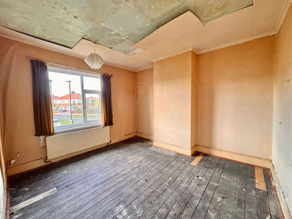 PHOTO-2025-10-29-12-45-11  3  T202511021547.jpg